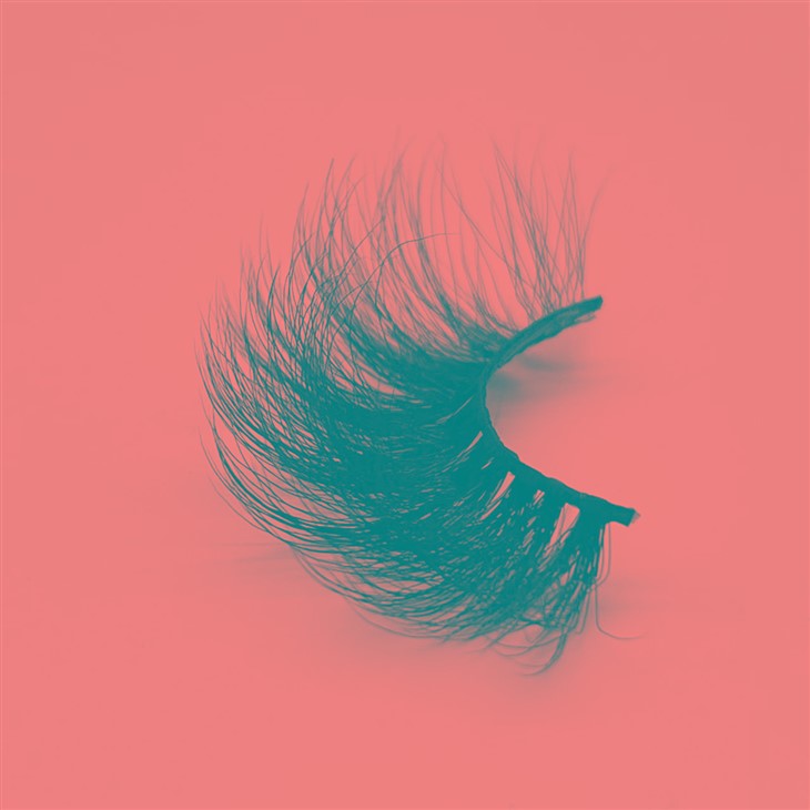 20231220glycs1 20231220glycs1