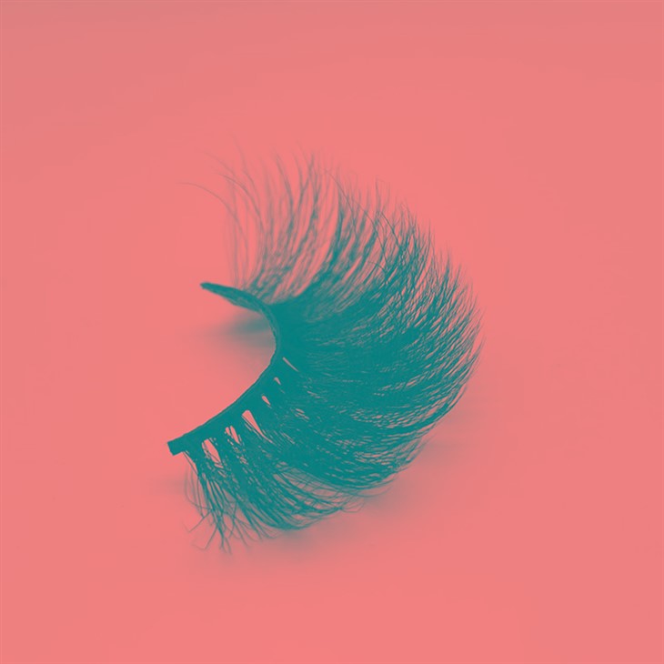 20231220glycs1 20231220glycs1