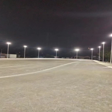 0226513131313131313.